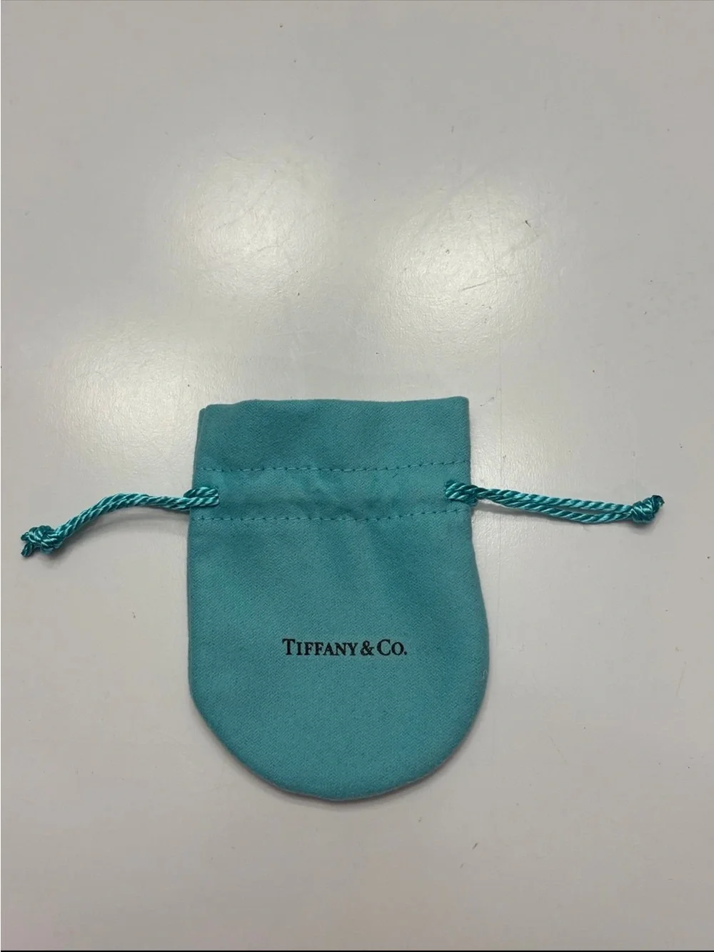Tiffany & Co. jewelry pouch in the signature 